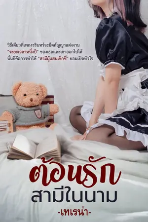 ปก ต้อนรักสามีในนาม