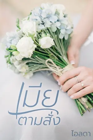 ปก เมียตามสั่ง
