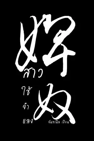 ปก 婢奴 สาวใช้จำแลง ชุด เสน่หาข้ามภพ (จบแล้ว)