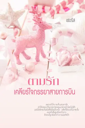 ปก ตามรักเคลียร์ใจภรรยาสายการบิน e-book