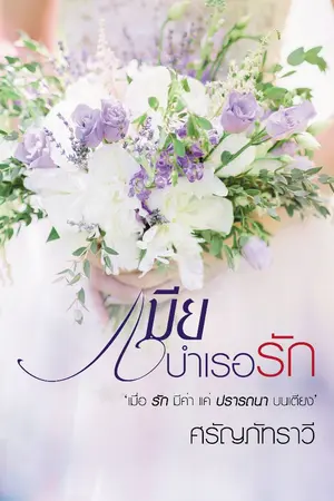 ปก เมียบำเรอรัก (รีอัพ)