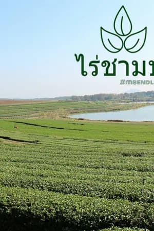 ปก [Got7] ไร่ชามาร์คแบม