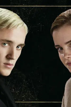 ปก No reason ไม่มีเหตุผล...ที่ฉันรักเธอ [Draco x Hermione]