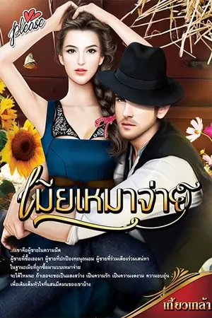 ปก เมียเหมาจ่าย