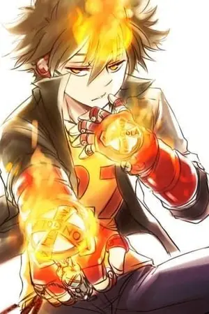 ปก [Fanfic] My hero Academia x Sawada tsunayoshi