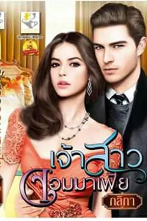 ปก เจ้าสาวจอมมาเฟีย(ฉบับรีไรท์ สนพ. ไลต์ ออฟ เลิฟ)