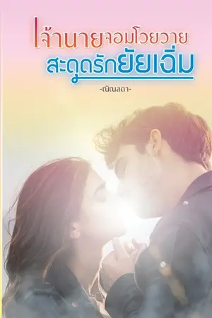 ปก เจ้านายจอมโวยวายสะดุดรักยัยเฉิ่ม