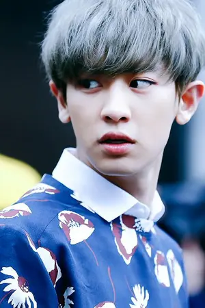 ปก [EXO] Ducky :: CHANBAEK (จบแล้ว)