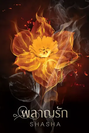 ปก ผลาญรัก ... ลงจบเรื่อง