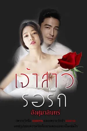 ปก เจ้าสาว รอรัก (E-book) ทำมือ