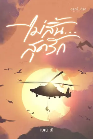 ปก ไม่สิ้น...สุดรัก