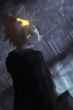 ปก [นิยายแปล]  [REBORN] KHR : Soulless Sky