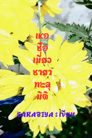 ปก เหอซือเมี่ยว ชายาทะลุมิติ