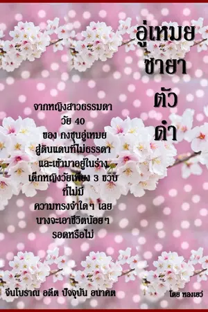 ปก อู่เหมย ชายาตัวดำ (จบแล้ว )