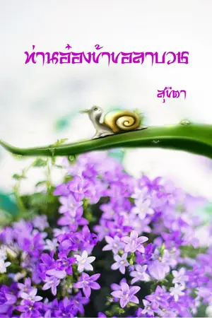 ปก ท่านอ๋องข้าขอลาบวช (จบ)