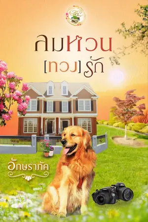 ปก ลมหวน(ทวง)รัก