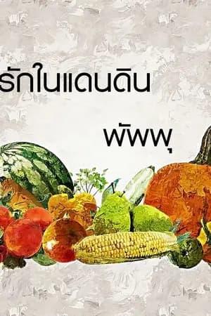 ปก รักในแดนดิน