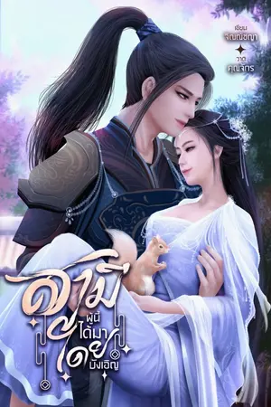 ปก สามีผู้นี้ได้มาโดยบังเอิญ