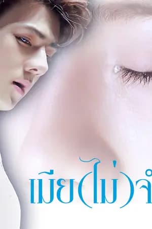 ปก FicExo : hunhan   เมีย(ไม่)จำเป็น  (จบแล้ว)
