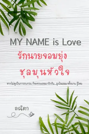 ปก MY NAME is Love ... รักนายจอมยุ่ง ชุลมุนหัวใจ (E - Book)