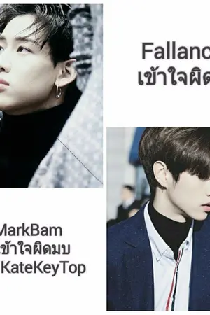 ปก Fallacy MarkBam เข้าใจผิดมบ