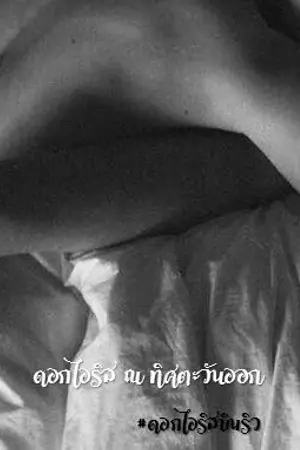 ปก ✿ ดอกไอริส ณ ทิศตะวันออก ✿