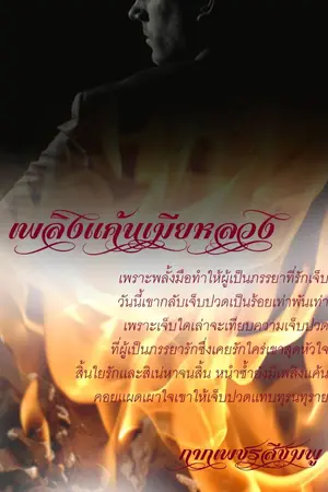 ปก เพลิงเเค้นเมียหลวง (มีอีบุ๊กที่meb)