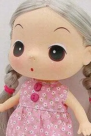 ปก ท่านหญิงเก็บตก
