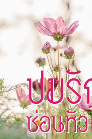 ปก ปมรักซ่อนหัวใจ