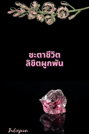 ปก (END) ชะตาชีวิต ลิขิตผูกพัน