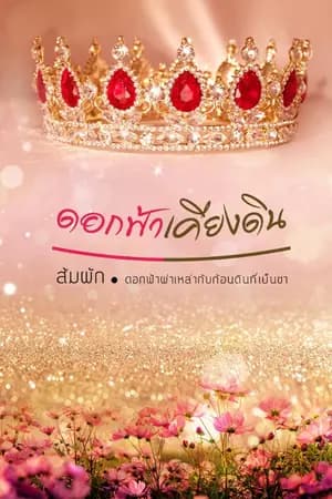 ปก ดอกฟ้าเคียงดิน
