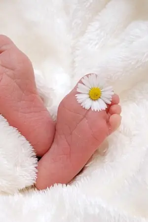 ปก You're mine. #ภูหลงวีร์ [MPREG]