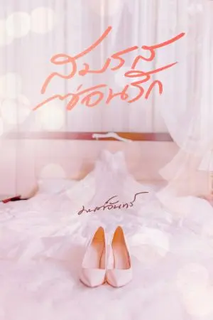 ปก สมรสซ่อนรัก