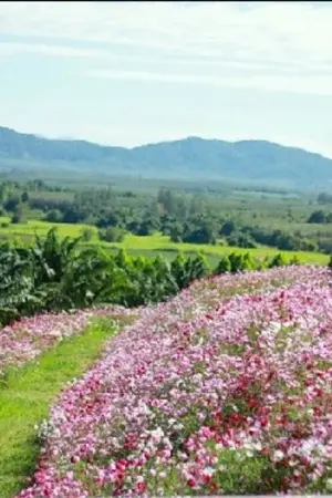 ปก มนต์​รัก​ภู​ตะวัน​