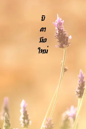 ปก บิดามือใหม่