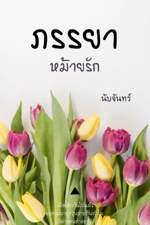 ปก ภรรยาหม้ายรัก ( อีบุ๊ค พร้อมโหลด )