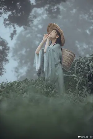 ปก เป็นฮูหยินท่านดีไม่น้อย