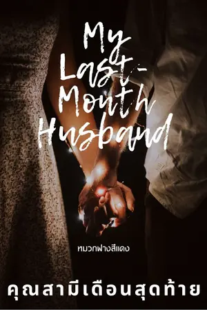 ปก คุณสามีเดือนสุดท้าย