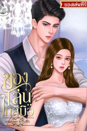 ปก ของเล่นใกล้มือ (มีอีบุ๊ก) (เปิดจองเล่ม)