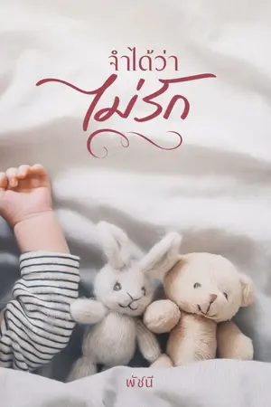 ปก จำได้ว่าไม่รัก