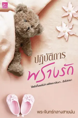 ปก ปฏิบัติการพรางรัก [มี Ebook]