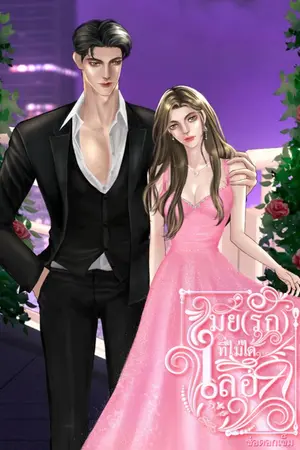 ปก เมีย(รัก)ที่ไม่ได้เลือก (มี e-book)
