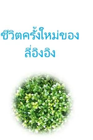 ปก ชีวิตครั้งใหม่ของลี่อิงอิง