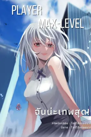 ปก Player Max-Level ฉันน่ะเทพสุด!