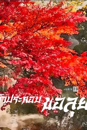 ปก EBOOK/ตัวประกอบ ขอลุย!