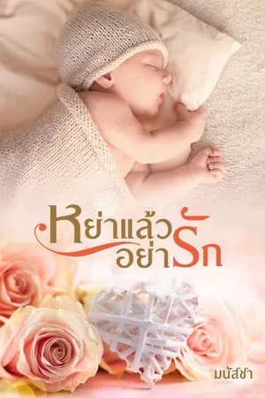 ปก หย่าแล้วอย่ารัก.