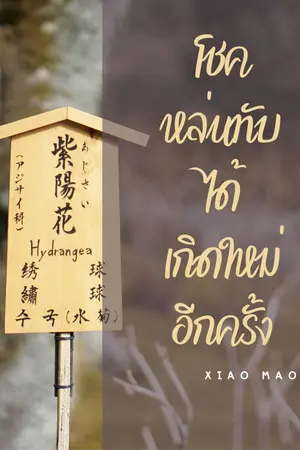 ปก โชคหล่นทับได้เกิดใหม่อีกครั้ง (BL)