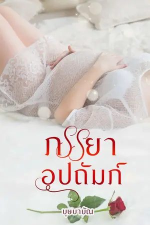 ปก ภรรยาอุปถัมภ์ ebook มาแล้วจ้า