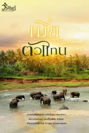 ปก เมียตัวแทน (coin) - มี ebook