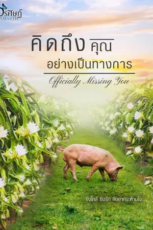 ปก คิดถึงคุณอย่างเป็นทางการ (coin) - มี ebook